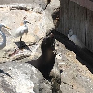 Meet your Posher, Mary